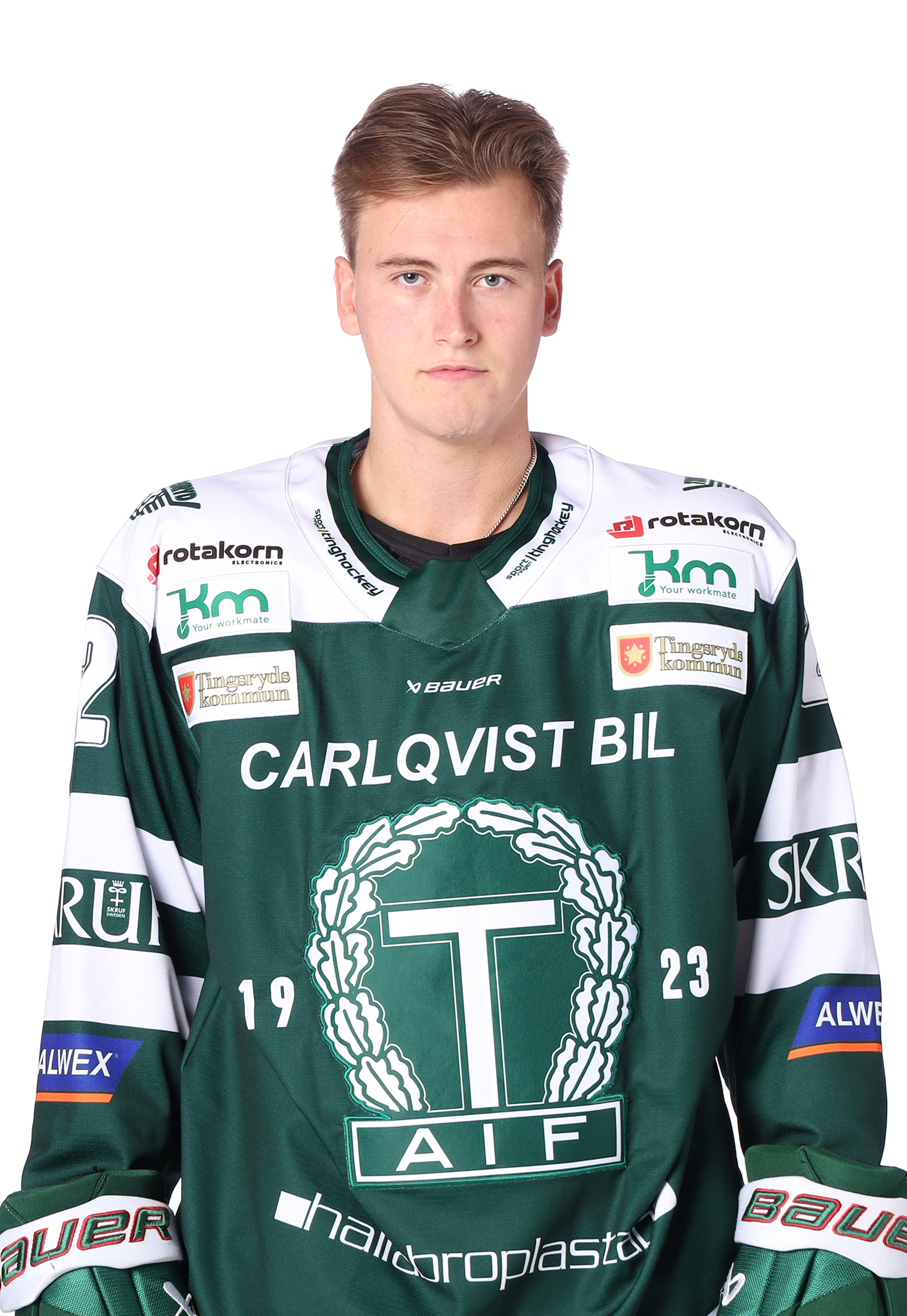 Theo Angesved